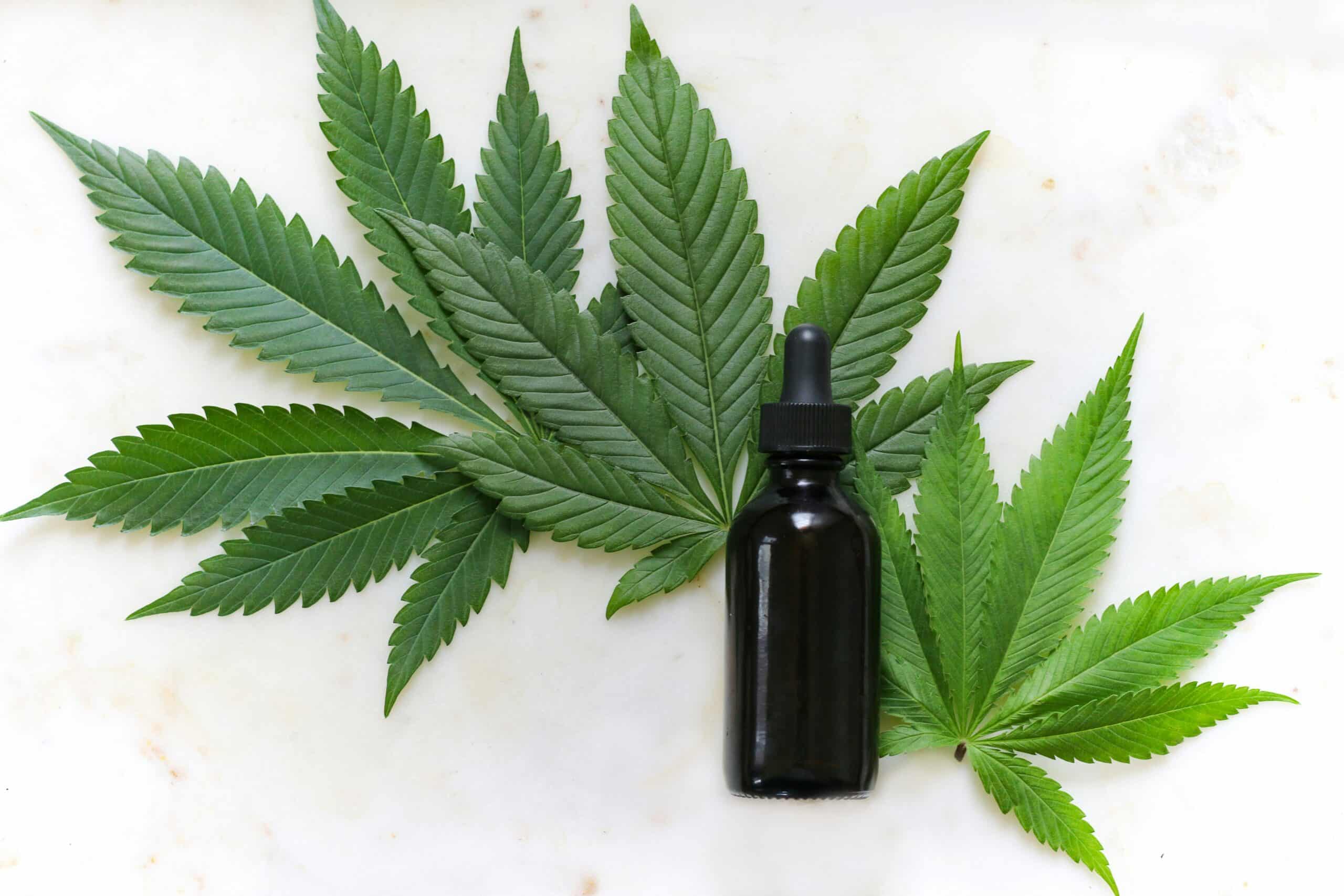 a bottle of CBD oil - Rachael Haverland Site a bottle of CBD oil