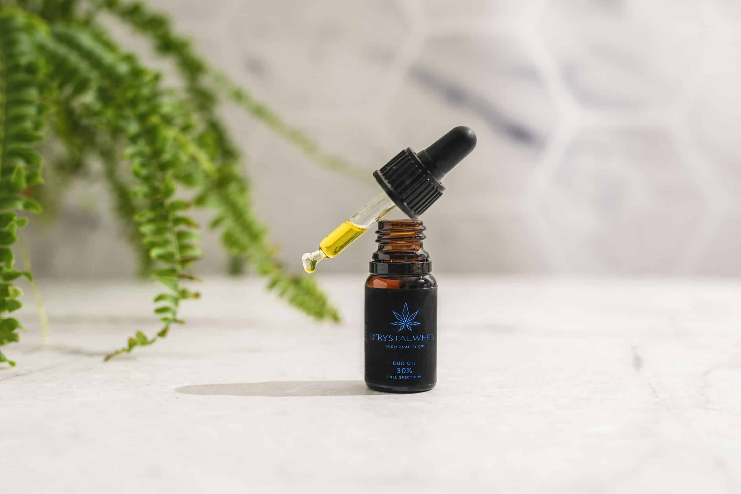 a bottle of CBD oil - Rachael Haverland Site a bottle of CBD oil