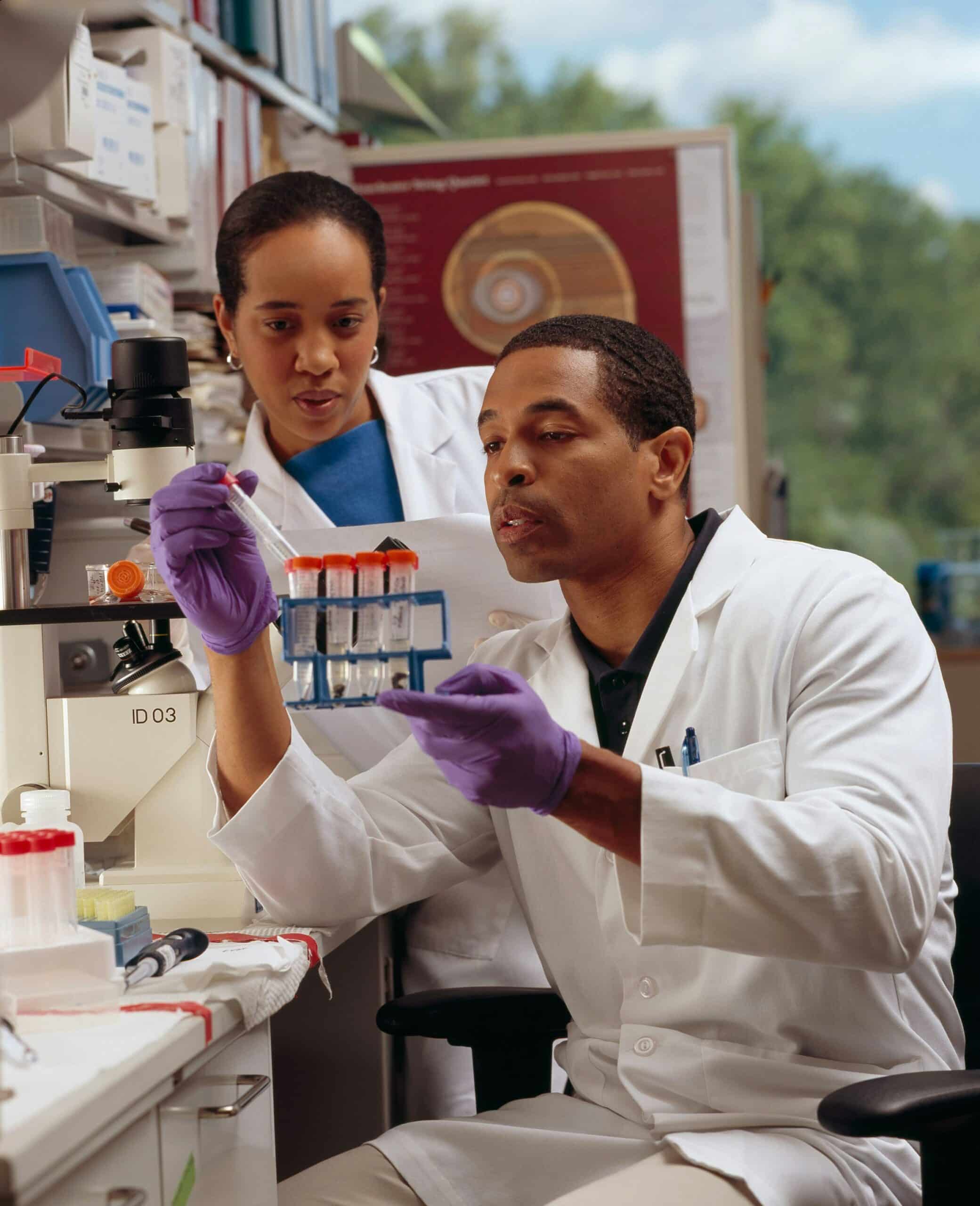 Genetic researchers doing lab work - Rachael Haverland Site Genetic researchers doing lab work