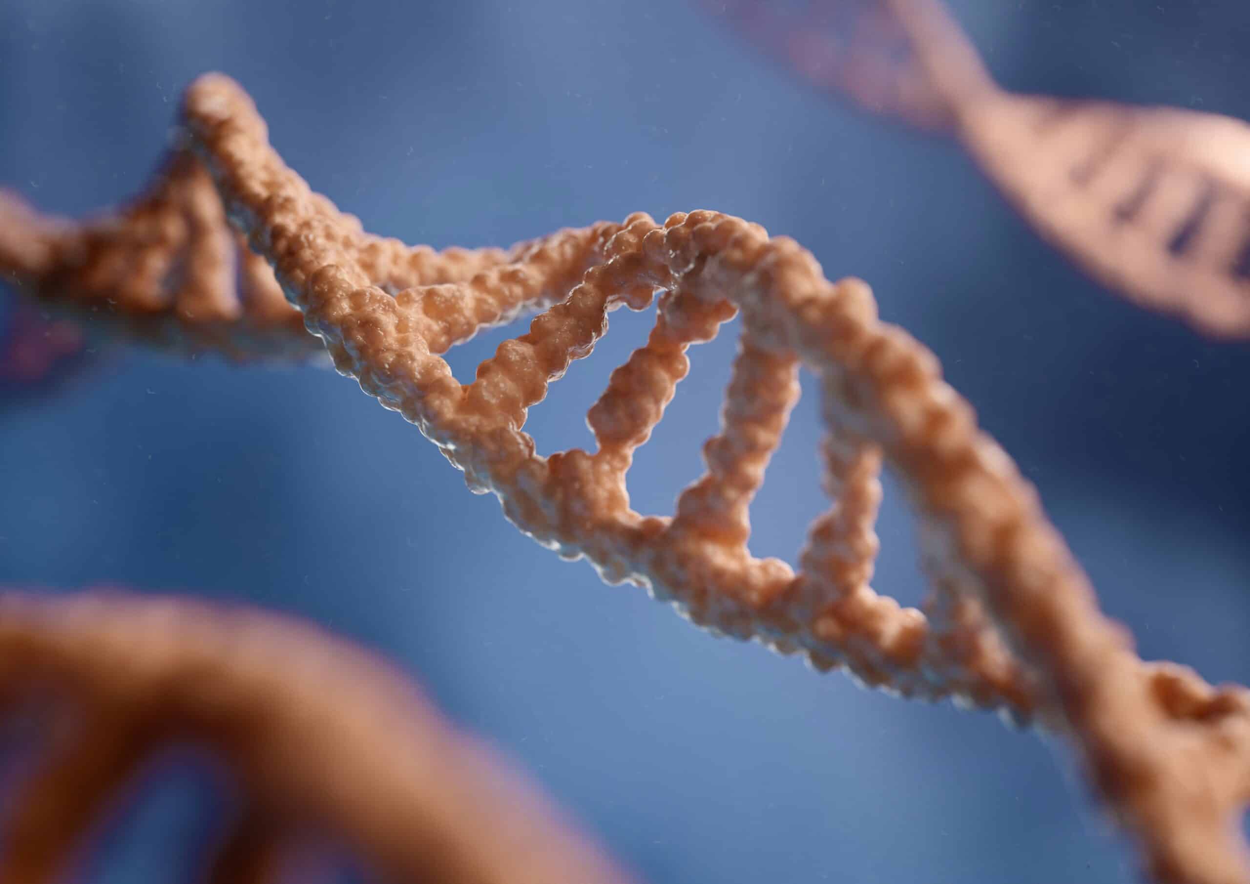 Close-up of DNA double helix. - Rachael Haverland Site Close-up of DNA double helix.