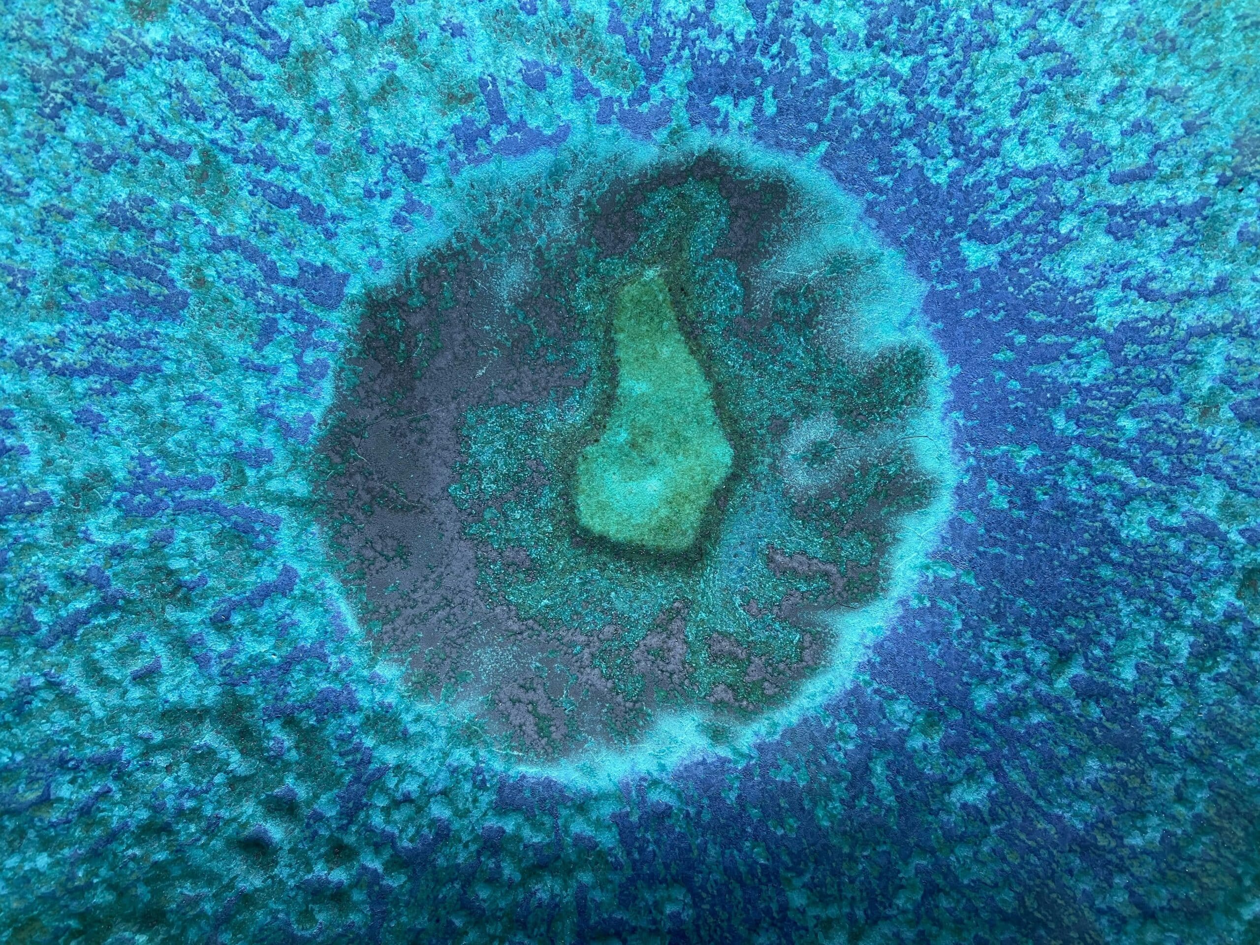 a fertile egg in a woman's body