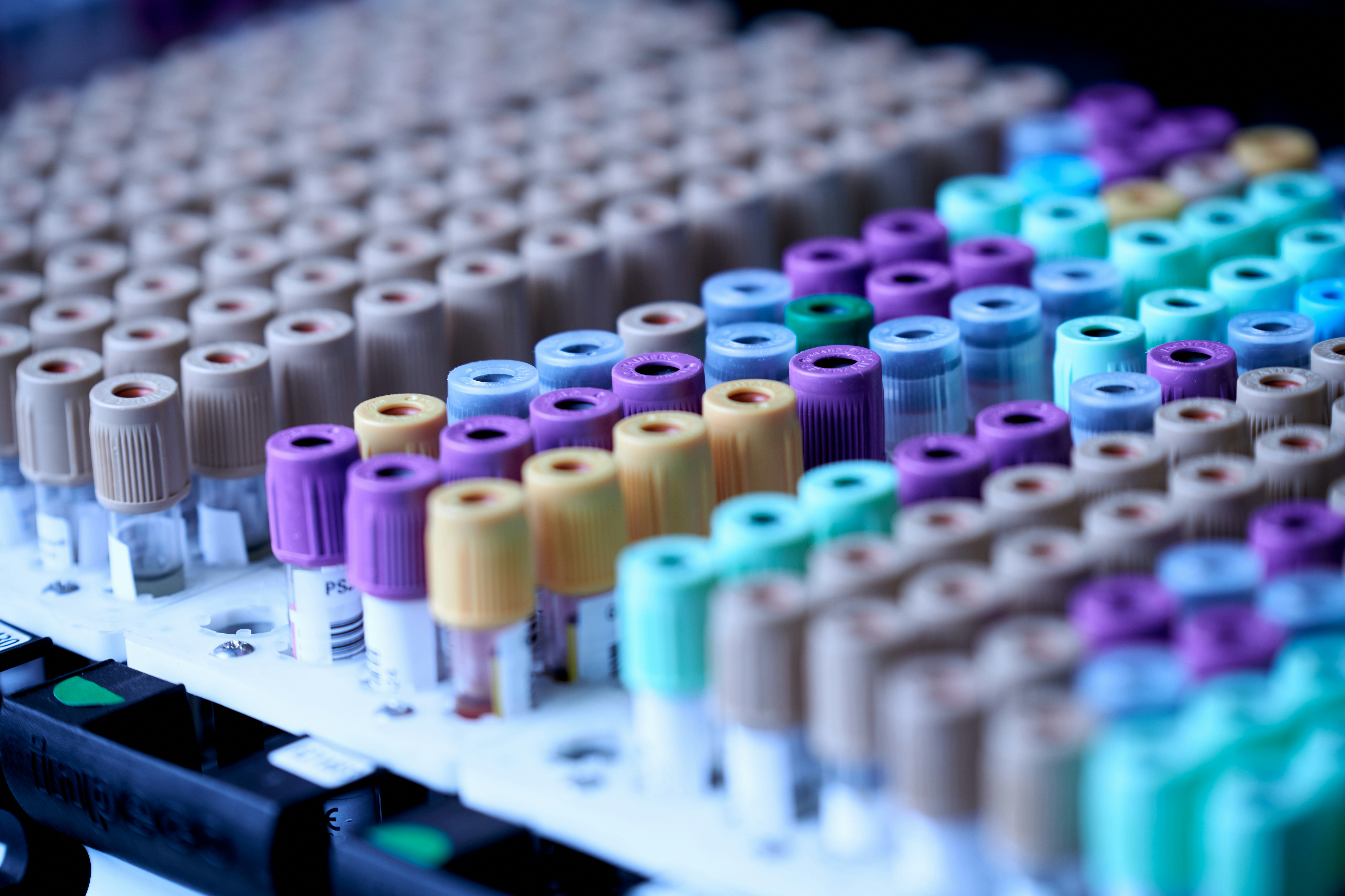 blood test samples